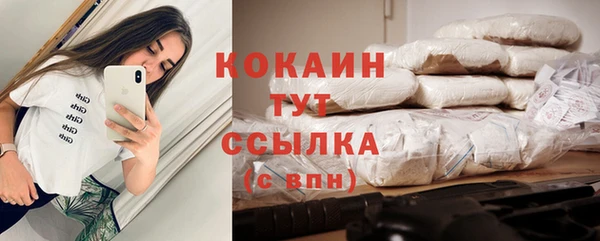 стаф Протвино