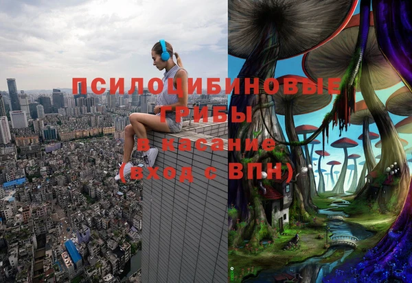ПСИЛОЦИБИНОВЫЕ ГРИБЫ Алексеевка