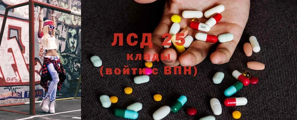 ПСИЛОЦИБИНОВЫЕ ГРИБЫ Алексеевка
