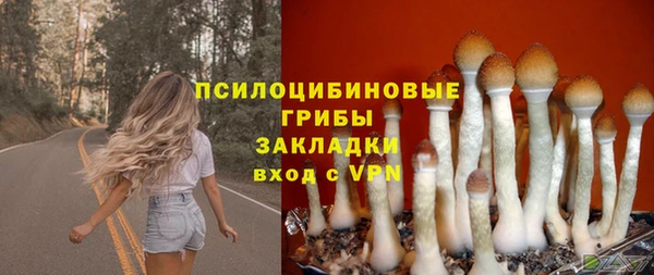 дурь Алексин
